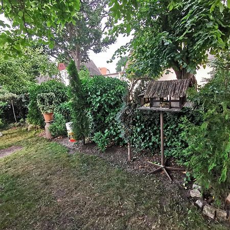 Kwatery U Zisi Miedzyzdroje Exterior foto